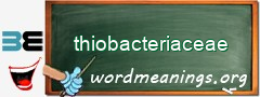 WordMeaning blackboard for thiobacteriaceae